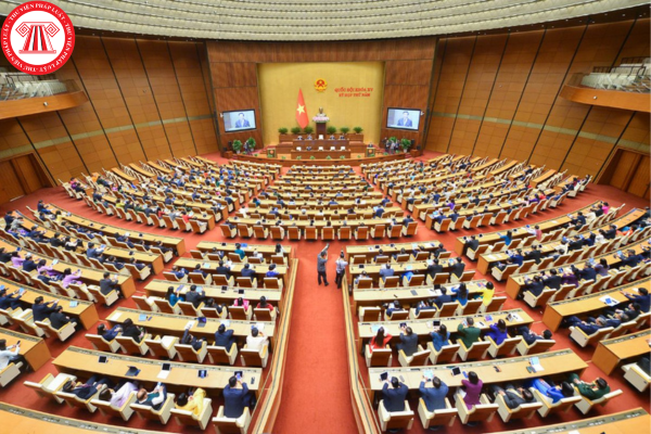 Pháp luật