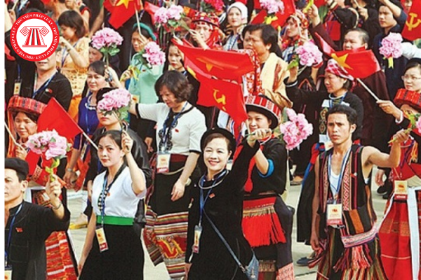 Pháp luật