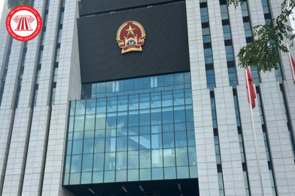 Pháp luật