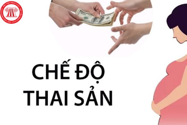 Pháp luật