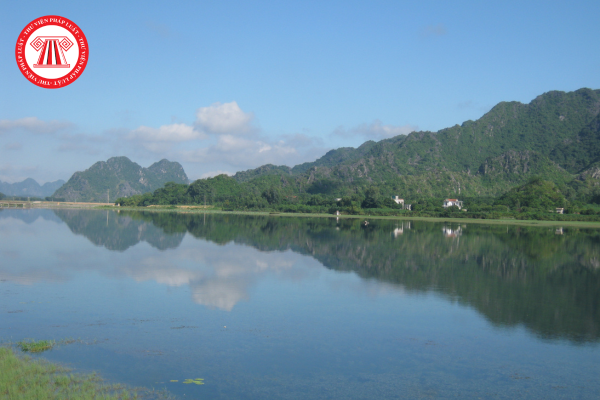 Pháp luật