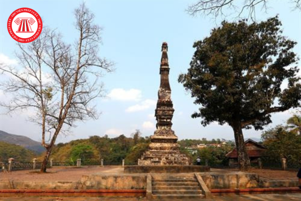 Pháp luật
