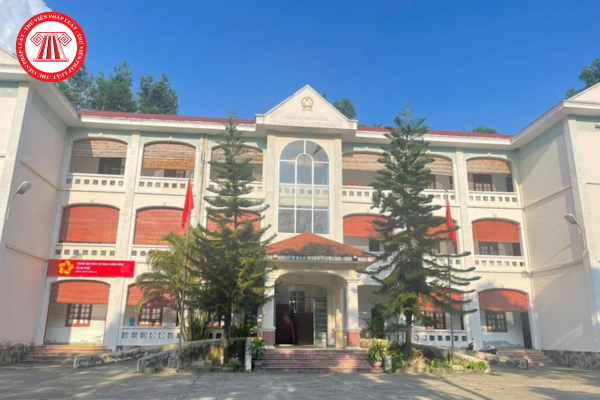 Pháp luật