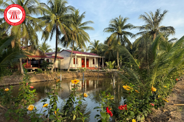 Pháp luật
