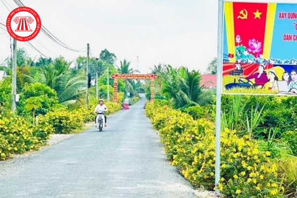 Pháp luật