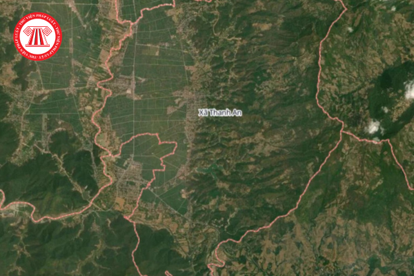 Pháp luật