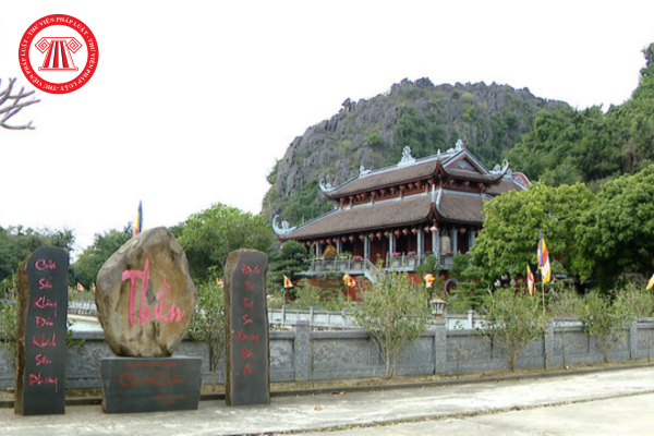 Pháp luật