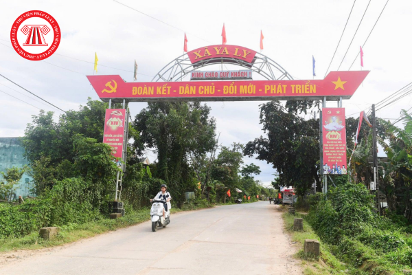 Pháp luật