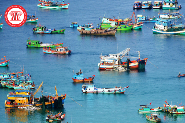 Pháp luật