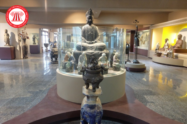 Pháp luật