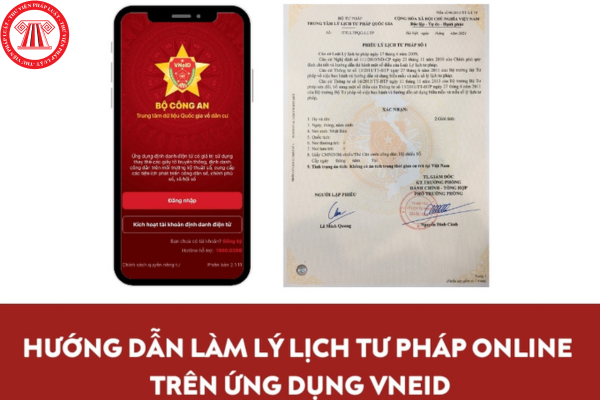 Pháp luật