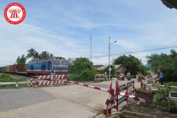 Pháp luật