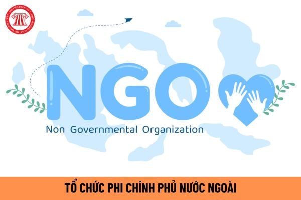 TỔ CHỨC PHI CHÍNH PHỦ NƯỚC NGOÀI