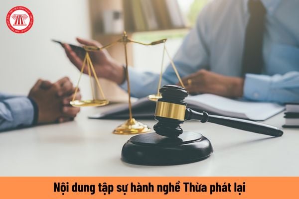 Nội dung tập sự hành nghề Thừa phát lại