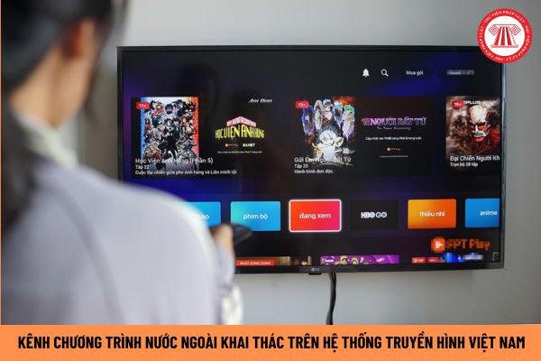 Kênh chương trình nước ngoài tại Việt Nam