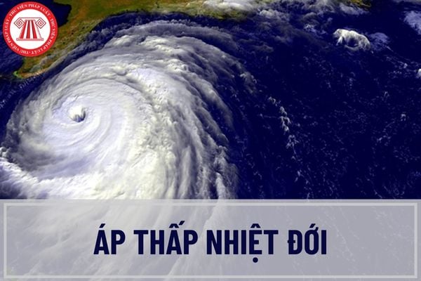 Áp thấp nhiệt đới là gì? Dự báo áp thấp nhiệt đới được xếp vào cấp độ rủi ro thiên tai nào?