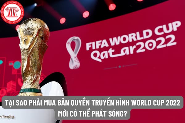 Tại sao phải mua bản quyền truyền hình World Cup 2022 mới có thể phát sóng các trận đấu? Xem World Cup trên web lậu có bị phạt gì không? 
