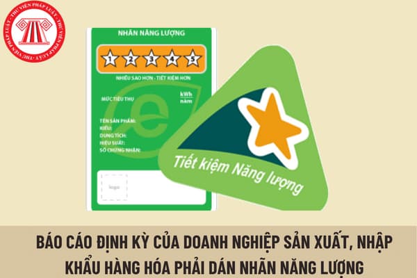 Mẫu báo cáo định kỳ của doanh nghiệp sản xuất, nhập khẩu hàng hóa thuộc Danh mục phương tiện thiết bị phải dán nhãn năng lượng là gì?