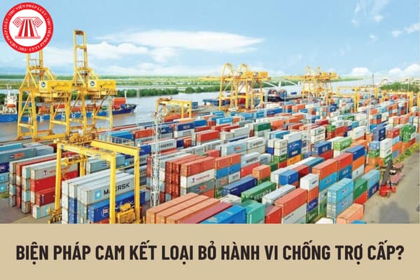 Biện pháp cam kết loại bỏ hành vi chống trợ cấp trong phòng vệ thương mại có thể được cơ quan có thẩm quyền cho phép áp dụng khi nào?