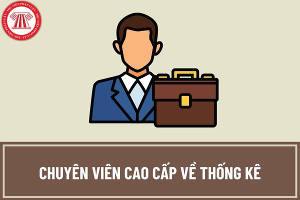 Chuyên viên cao cấp về thống kê trong cơ quan nhà nước phải đáp ứng các yêu cầu về trình độ như thế nào?