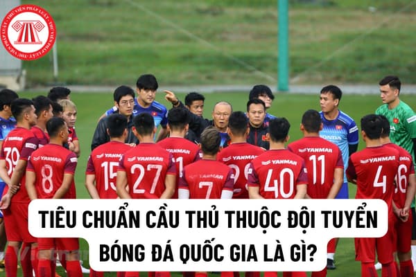 Tiêu chuẩn cầu thủ thuộc đội tuyển bóng đá quốc gia là gì? Người nước ngoài có được tuyển chọn vào đội tuyển quốc gia Việt Nam không?