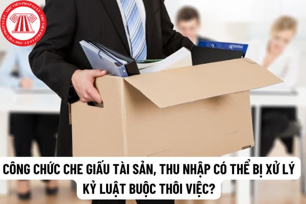 Công chức che giấu tài sản, thu nhập có thể bị xử lý kỷ luật buộc thôi việc? Quyết định xử lý vi kỷ luật công chức che giấu tài sản, thu nhập có được công khai không?