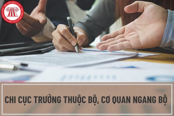 Công việc, nhiệm vụ của Chi Cục trưởng thuộc Bộ, cơ quan ngang Bộ là gì? Các mối quan hệ trong công việc của Chi Cục trưởng thuộc Bộ là gì?