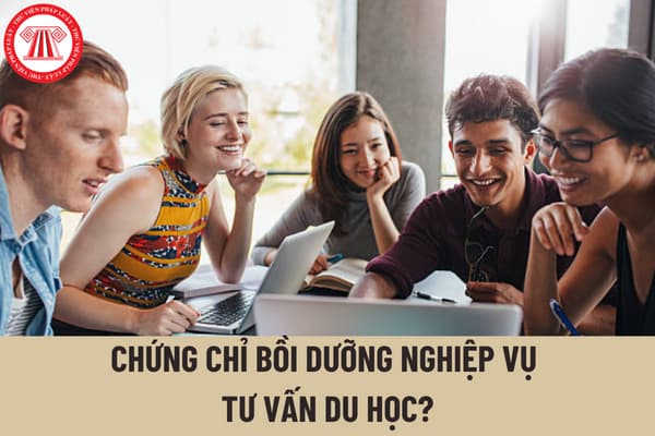 Đội ngũ nhân viên của tổ chức tư vấn du học có phải bắt buộc có chứng chỉ bồi dưỡng nghiệp vụ tư vấn du học?