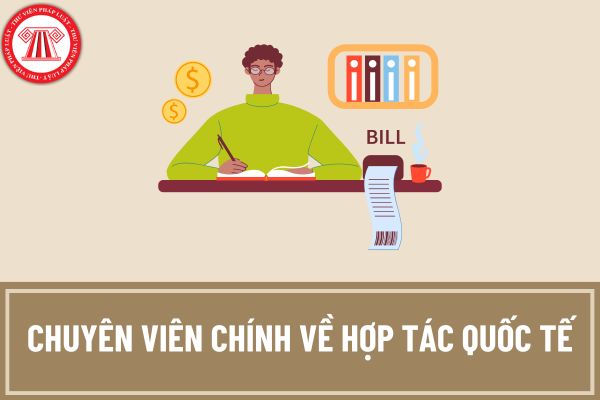 Chuyên viên chính về hợp tác quốc tế phải tốt nghiệp đại học ngành nào? Chuyên viên chính về hợp tác quốc tế phải những năng lực gì?