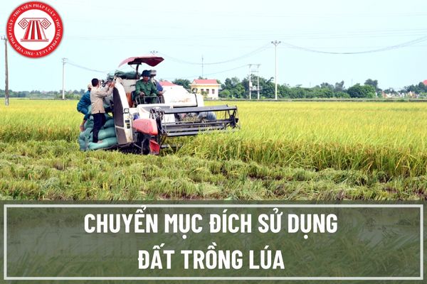 Trong thủ tục chuyển mục đích sử dụng đất trồng lúa đang được thí điểm tại Khánh Hòa có bắt buộc phải lấy ý kiến người dân không?