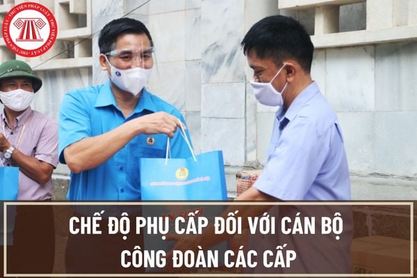 Quyết định 5692/QĐ-TLĐ năm 2022: Quy định mới về chế độ phụ cấp đối với cán bộ công đoàn các cấp?