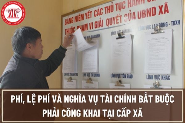 Phí, lệ phí và nghĩa vụ tài chính có được chính quyền địa phương cấp xã bắt buộc phải công khai không?