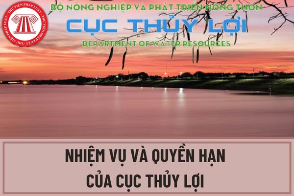 Cục Thủy lợi có trách nhiệm phải thực hiện những nhiệm vụ và quyền hạn nào? Cục Thủy lợi có nhiệm vụ và quyền hạn gì trong việc bảo đảm an ninh nguồn nước?