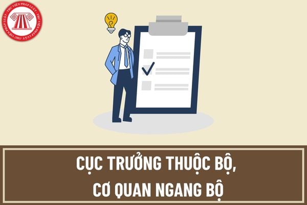 Cục trưởng thuộc Bộ, cơ quan ngang Bộ phải đáp ứng các yêu cầu về trình độ, phẩm chất như thế nào?