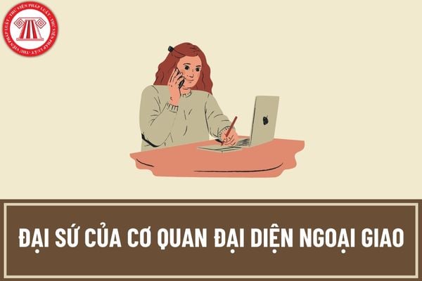 Đại sứ có phải là người đứng đầu cơ quan đại diện ngoại giao hay không? Đại sứ phải đáp ứng các yêu cầu về trình độ như thế nào?