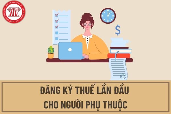 Trình tự đăng ký thuế lần đầu cho người phụ thuộc trực tiếp tại cơ quan thuế được thực hiện thế nào?