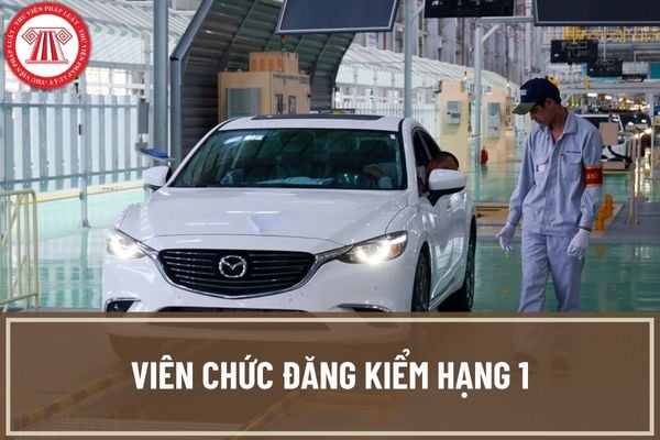 Viên chức đăng kiểm hạng 1 phải đáp ứng các tiêu chuẩn nào? Lương của viên chức đăng kiểm hạng 1 là bao nhiêu?