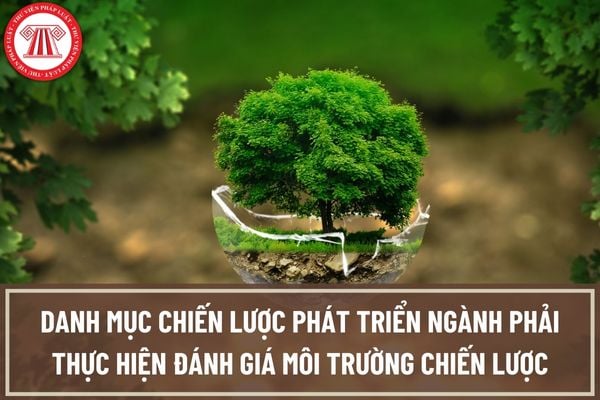 Danh mục chi tiết chiến lược phát triển ngành, quy hoạch chuyên ngành phải thực hiện đánh giá môi trường chiến lược bao gồm những gì?