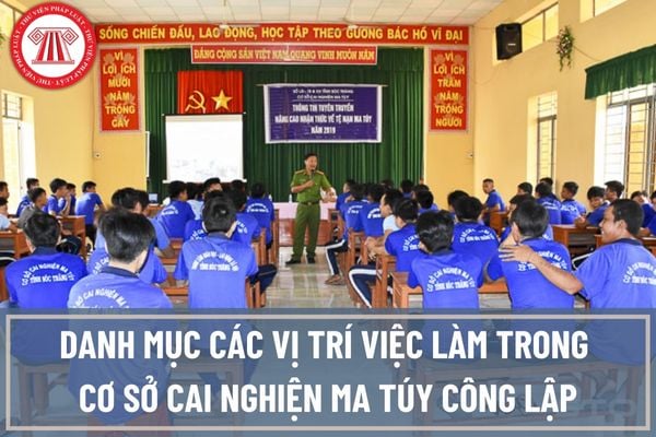 Danh mục các vị trí việc làm trong cơ sở cai nghiện ma túy công lập bao gồm những vị trí nào?