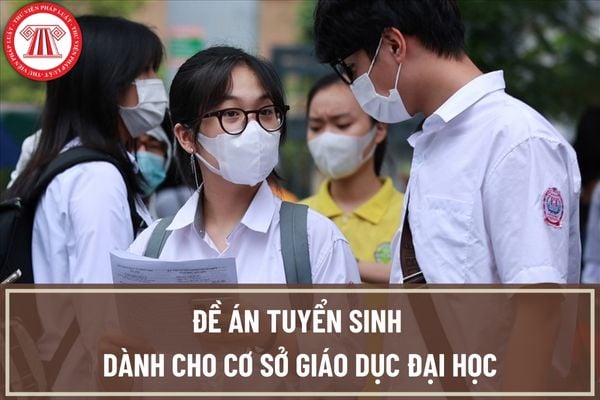 Mẫu Đề án tuyển sinh dành cho cơ sở giáo dục đại học? Nội dung chủ yếu của đề án tuyển sinh của cơ sở giáo dục đại học phải bao gồm những gì?