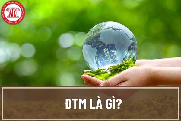 ĐTM là gì? Đánh giá tác động môi trường có bắt buộc phải do chủ đầu tư thực hiện hay không?