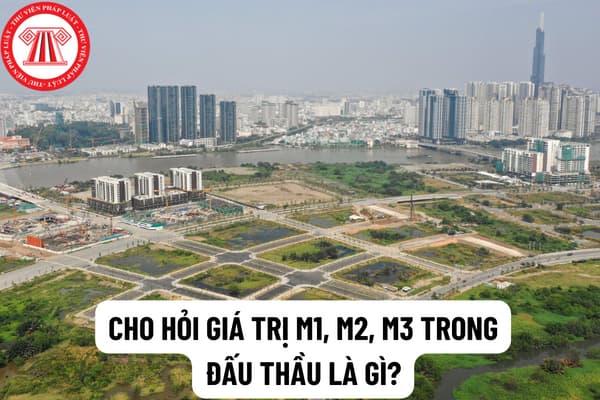 Giá trị M1, M2, M3 trong đấu thầu là gì? Xét duyệt trúng thầu có phải căn cứ vào giá trị M1, M2, M3 hay không?