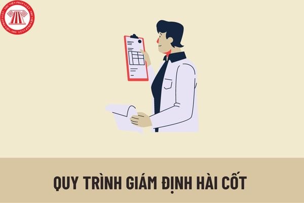 Quy trình giám định hài cốt theo quy định mới nhất được thực hiện như thế nào? Mẫu kết luận giám định hài cốt được quy định như thế nào?