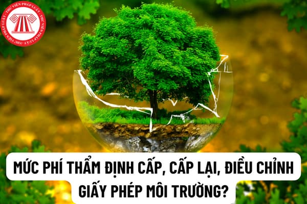 Mức phí thẩm định cấp, cấp lại, điều chỉnh Giấy phép môi trường trên địa bàn Thành phố Hồ Chí Minh là bao nhiêu?