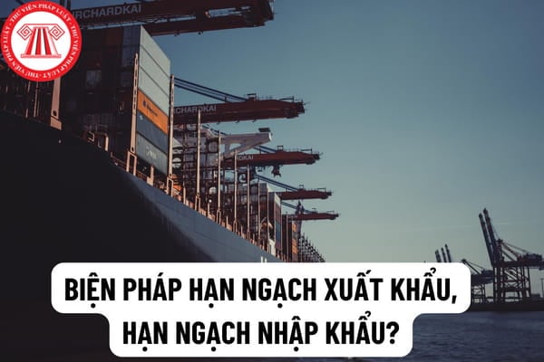 Biện pháp hạn ngạch xuất khẩu, hạn ngạch nhập khẩu được áp dụng khi nào? Ai có thẩm quyền áp dụng biện pháp hạn ngạch xuất khẩu, hạn ngạch nhập khẩu?