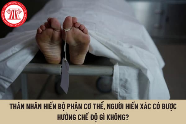 Thân nhân hiến bộ phận cơ thể, người hiến xác có được hưởng chế độ gì không? Quyền lợi đối với người hiến bộ phận cơ thể khi còn sống là gì?