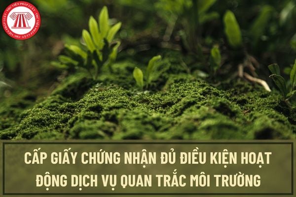 Trình tự, thủ tục cấp giấy chứng nhận đủ điều kiện hoạt động dịch vụ quan trắc môi trường được thực hiện như thế nào?