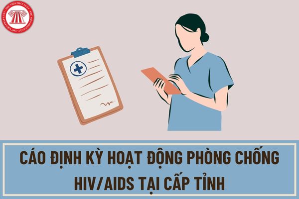 Mẫu báo cáo định kỳ hoạt động phòng chống HIV/AIDS tại cấp tỉnh được quy định như thế nào?