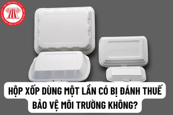 Hộp xốp dùng một lần có bị đánh thuế Bảo vệ môi trường không? Sẽ mở rộng đối tượng chịu thuế bảo vệ môi trường đối với vật liệu nhựa có đúng không?