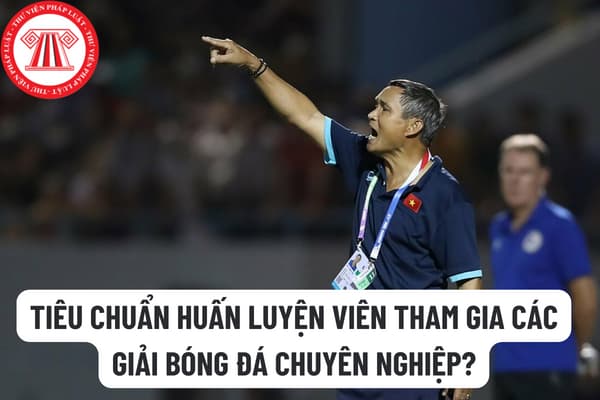 Tiêu chuẩn huấn luyện viên tham gia các giải bóng đá chuyên nghiệp? Huấn luyện viên bóng đá chuyên nghiệp có được ký hợp đồng với hai đội bóng không?